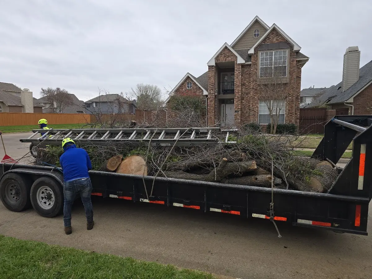 Expert Crown Reduction with proper safety equipment in Canal Winchester
